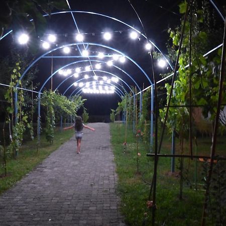 Villa "Zepuri" Dushet'i Ngoại thất bức ảnh