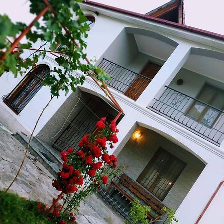 Villa "Zepuri" Dushet'i Ngoại thất bức ảnh