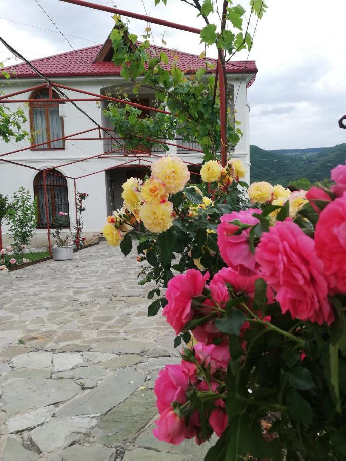 Villa "Zepuri" Dushet'i Ngoại thất bức ảnh