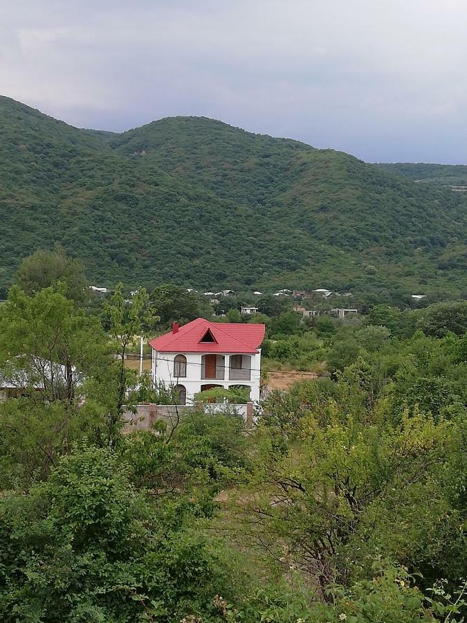 Villa "Zepuri" Dushet'i Ngoại thất bức ảnh